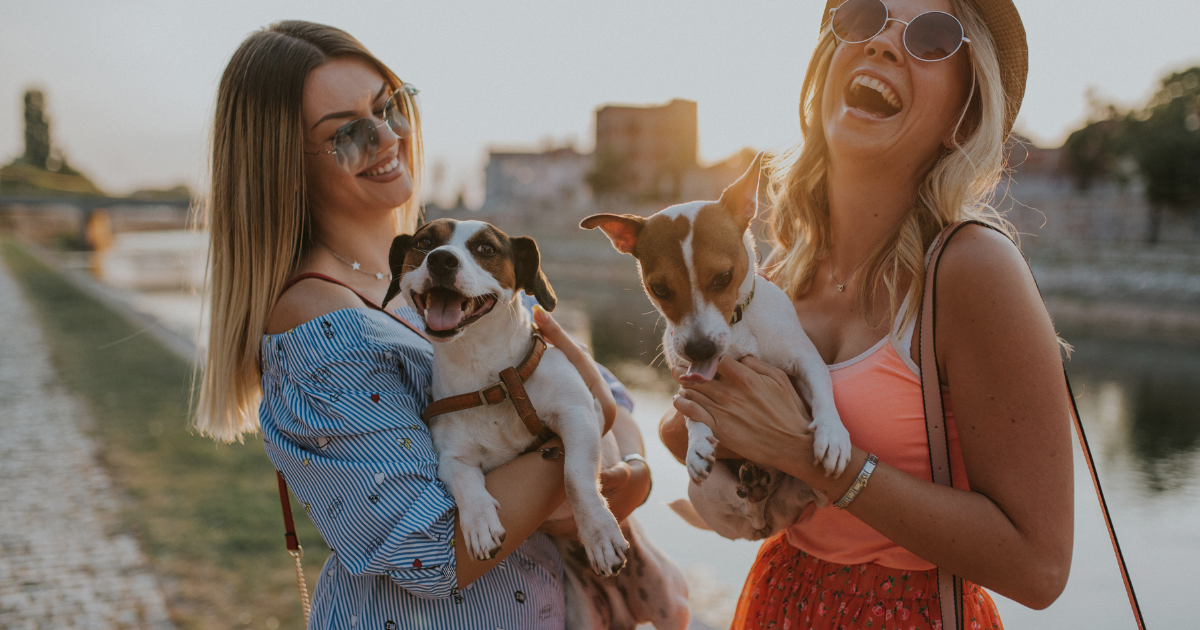 Two joyful women holding their small dogs while enjoying a sunny day by a river. Both are dressed in casual summer outfits, wearing sunglasses, and sharing a moment of laughter with their furry companions. Dog Lovers