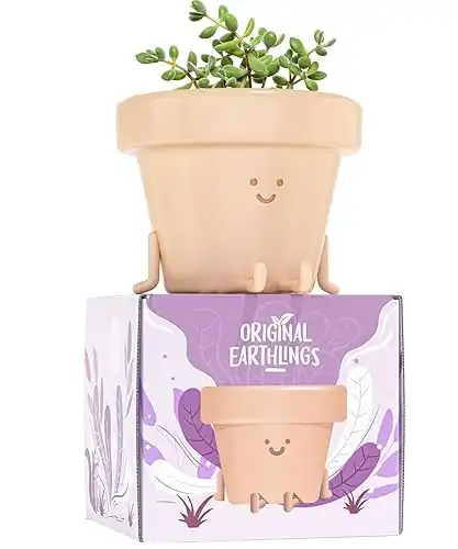 Cute Plant Gifts for Plant Lovers